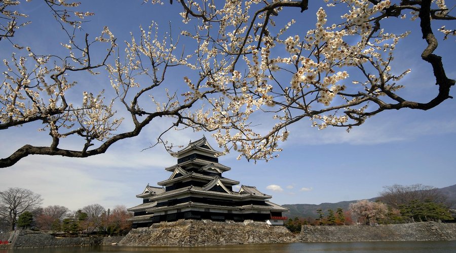 松本城　春　/ Matsumoto Castle in Spring