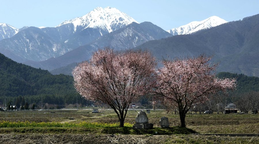 春の安曇野 / Azumino Area in Spring