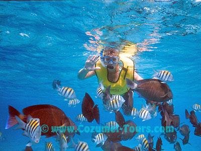 Cozumel Tours By Johann & Sandra - All You Need to Know BEFORE You Go