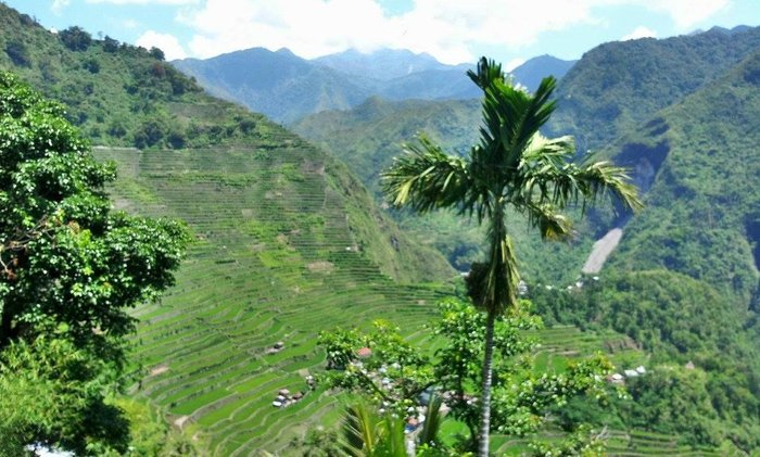 Simon's Viewpoint Inn - Batad, Philippines Inn - Reviews