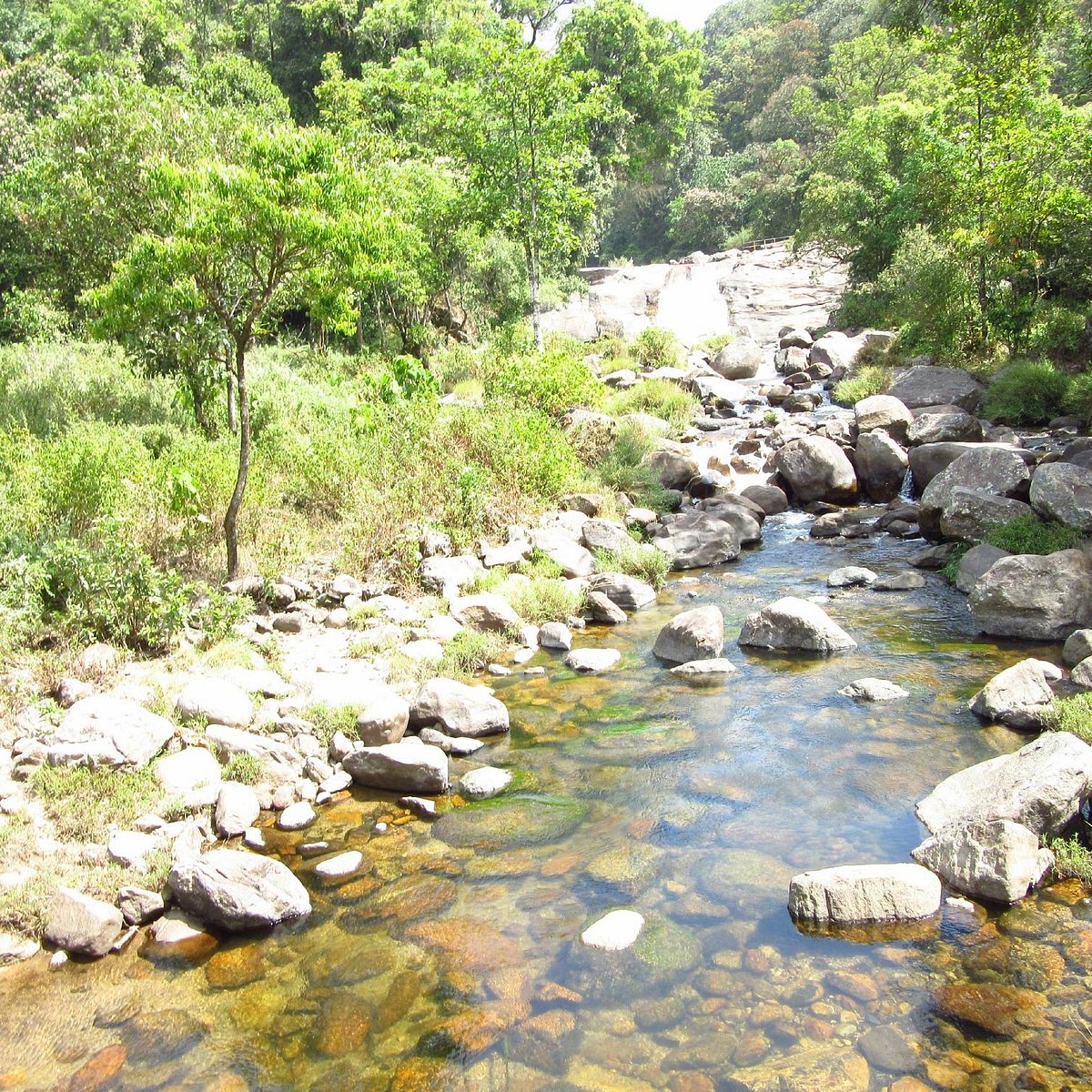 Chinna Kallar Falls (Valparai) - All You Need to Know BEFORE You Go Chinna Kallar Falls (Valparai) - All You Need to Know BEFORE You Go