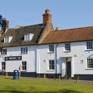 The 'Litcham Bull'