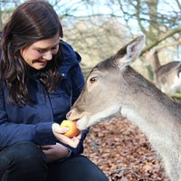 Marselisborg Deer Park