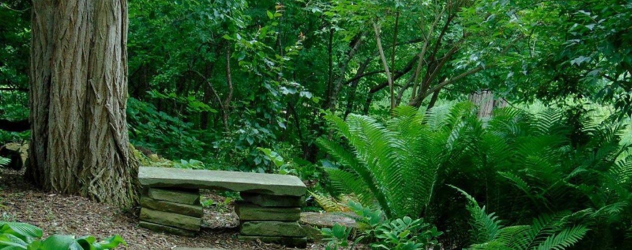 bench