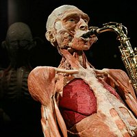The saxophone player.