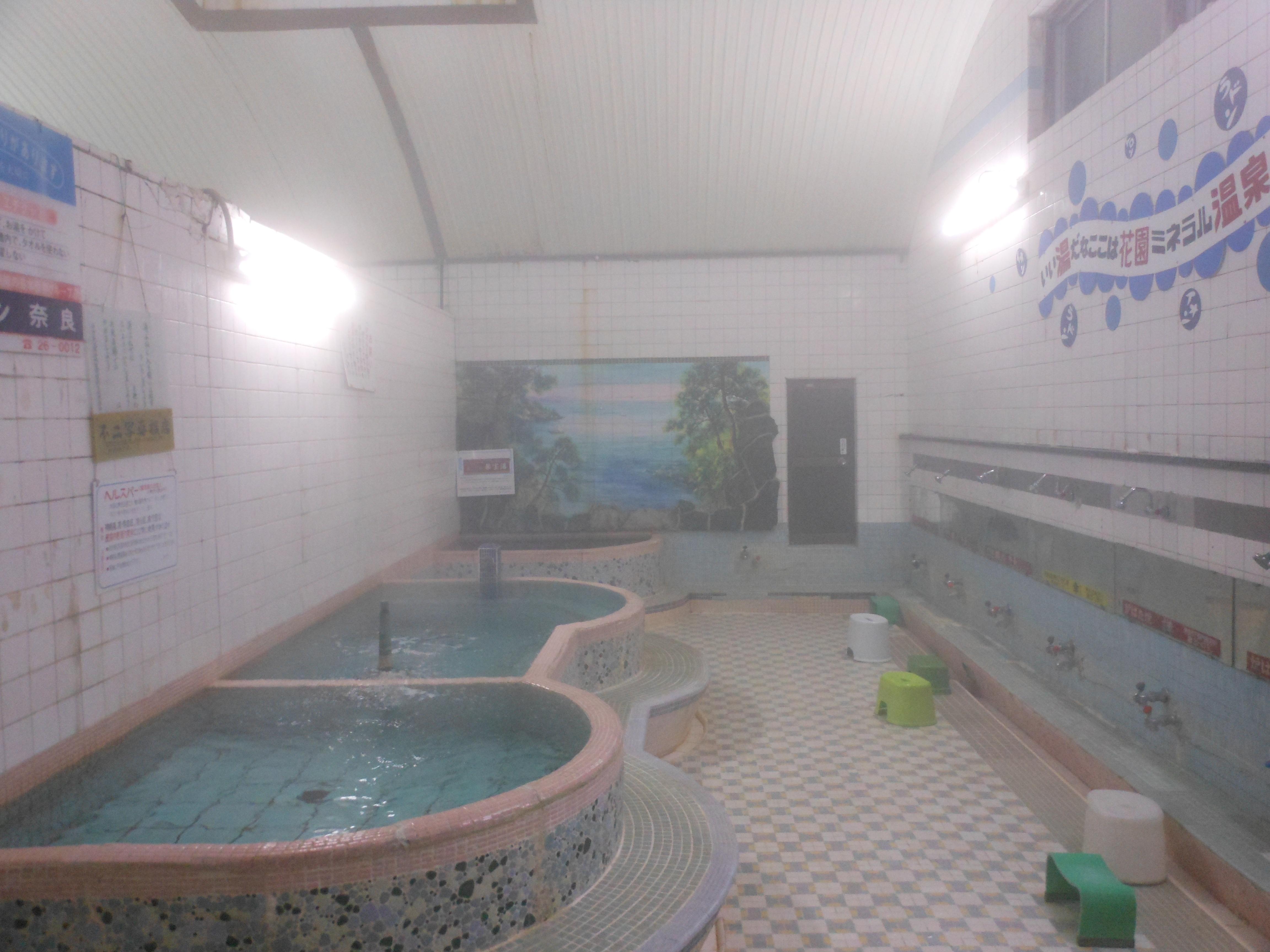 Hanazono Shin Onsen (2025) - All You Need to Know BEFORE You