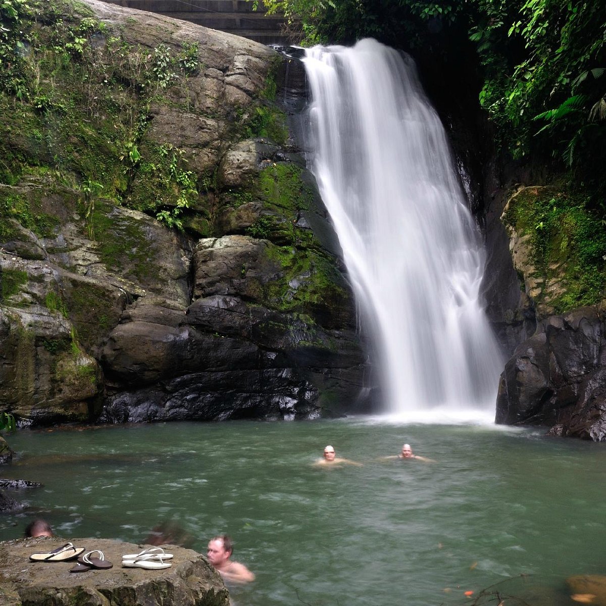 cahuita tours office