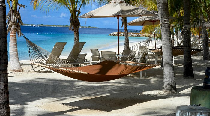 HARBOUR VILLAGE BEACH CLUB - Updated 2023 Prices & Resort Reviews (Bonaire,  Caribbean)