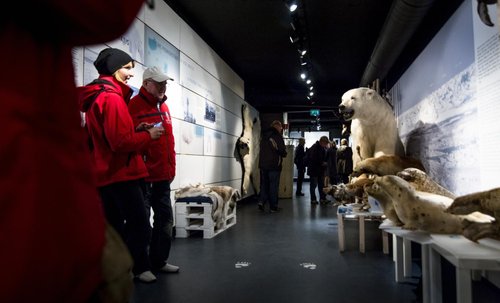 Norway Culture Polar Bear pin 