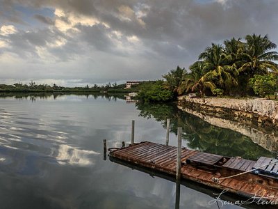 THE FOREST 2, Deadman's Cay - Restaurant Reviews & Photos