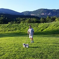 getlstd_property_photo