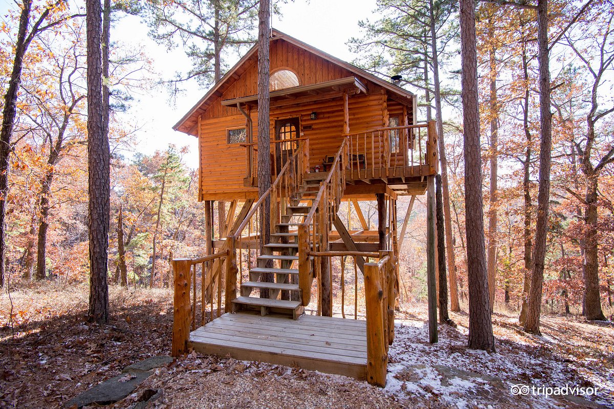 Treehouse Cottages - Towering Pines