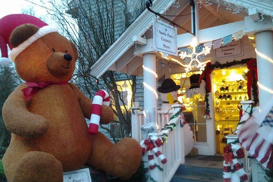 Auntie Pam's Country Store image