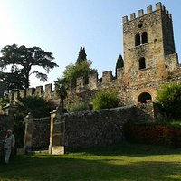 Castellaro Lagusello: Il Castello