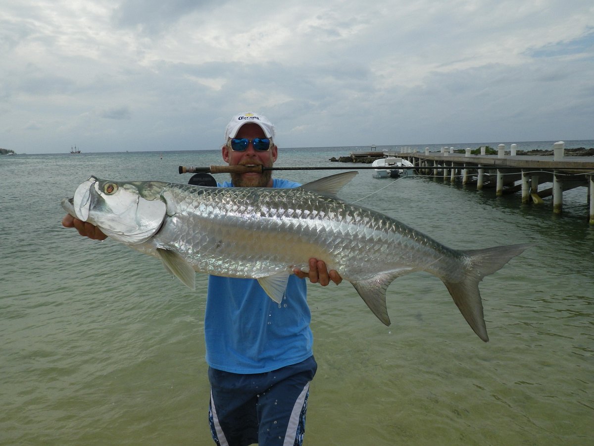Buy 13 Fishing Products Online in George Town at Best Prices on desertcart  Cayman Islands