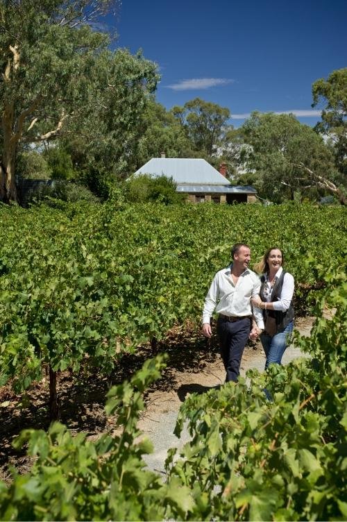 Reillys Wines Vineyard Walk - All You Need to Know BEFORE You Go (2024)