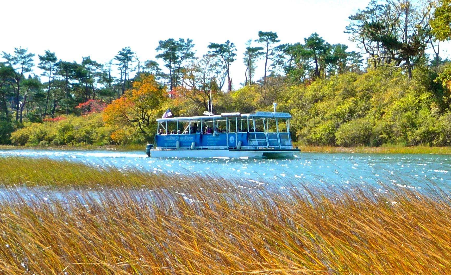 essex river cruises & charters reviews