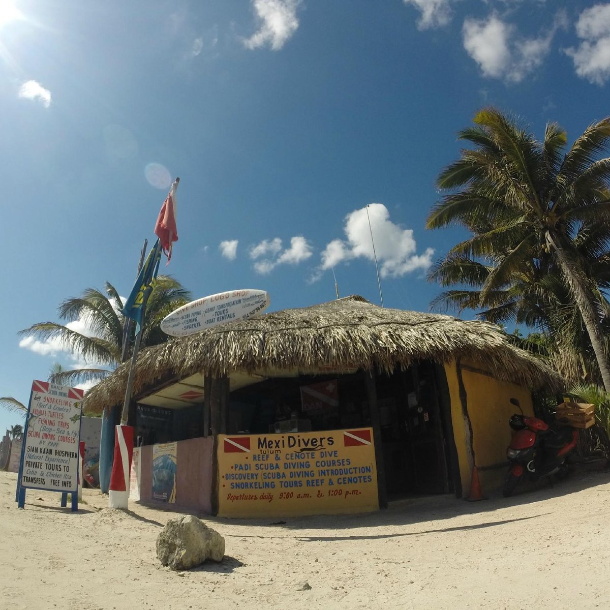 mexi divers tulum