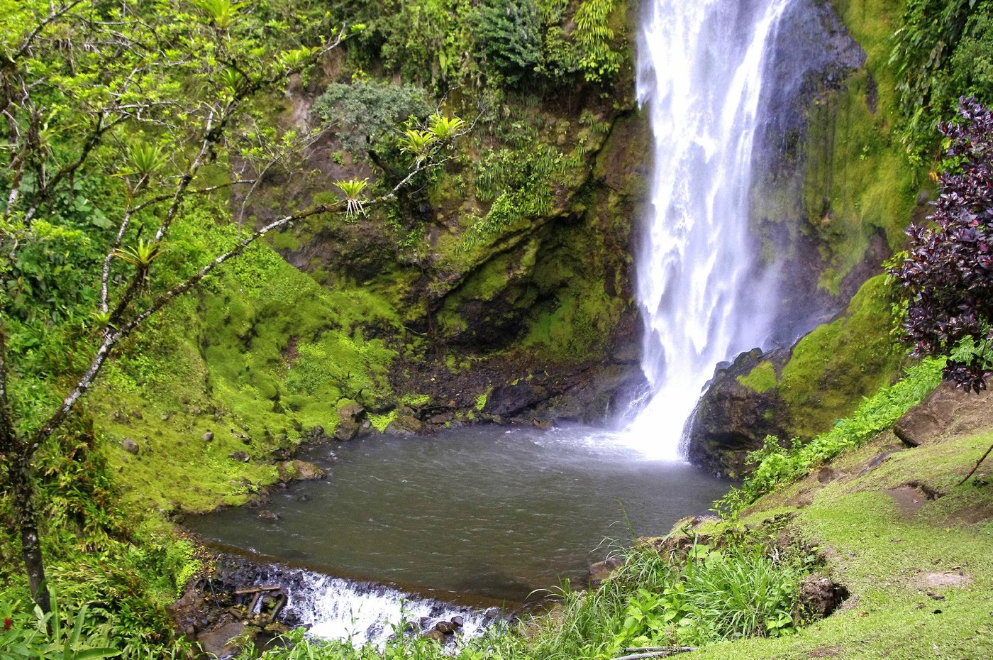 EL TIGRE HIDEAWAY (Tilarán, Costa Rica): opiniones y fotos del villa