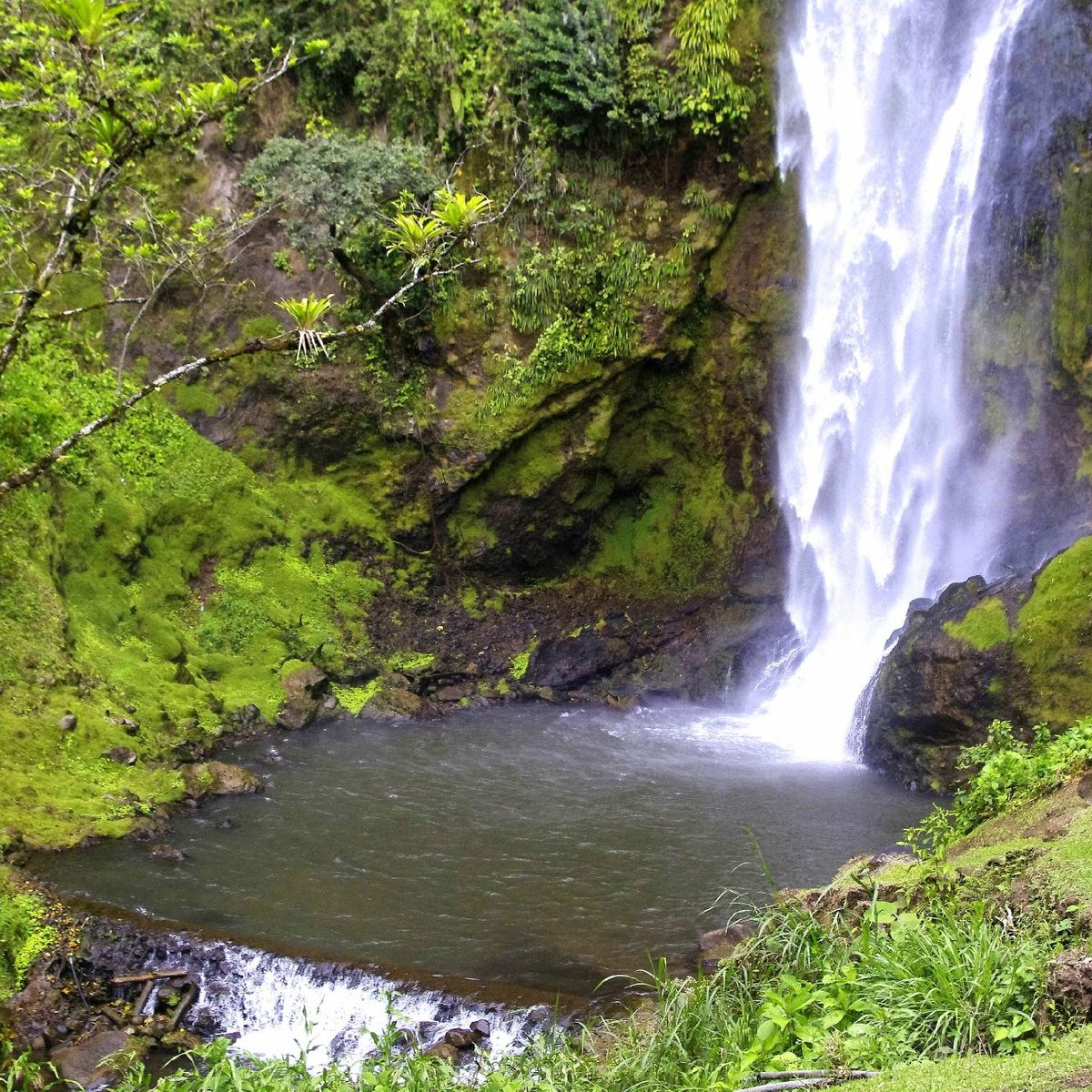 Viento Fresco Waterfall, Tilaran: лучшие советы перед посещением -  Tripadvisor