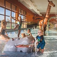 Savannah Splash Pool