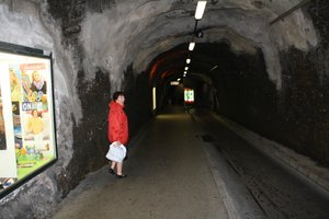 Viajante