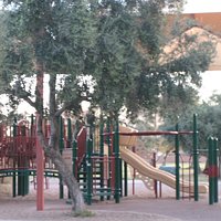 Playground and Olive Trees, Los Olivos Park