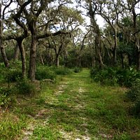 Part of the trail
