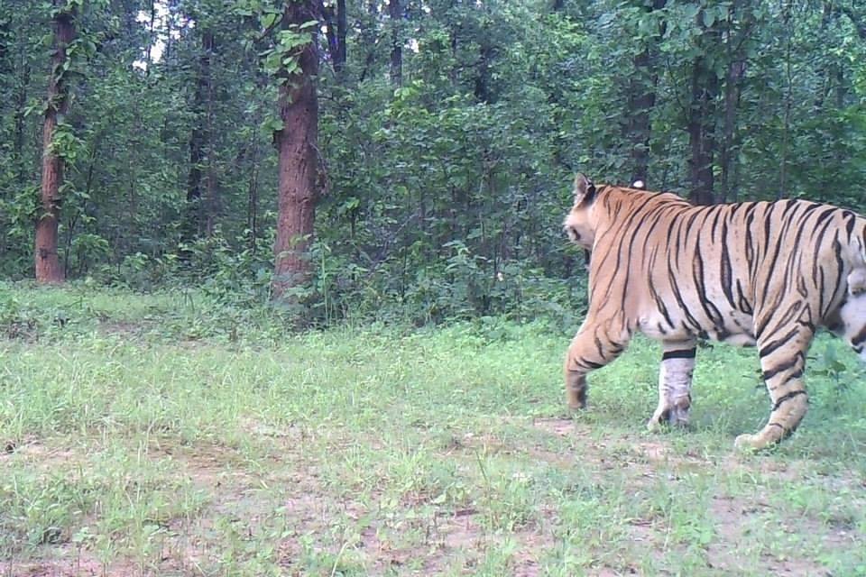 Sanjay National Park - All You Need to Know BEFORE You Go (2024) -  Tripadvisor