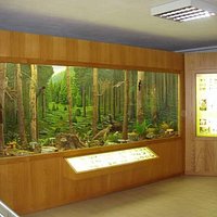 getlstd_property_photo