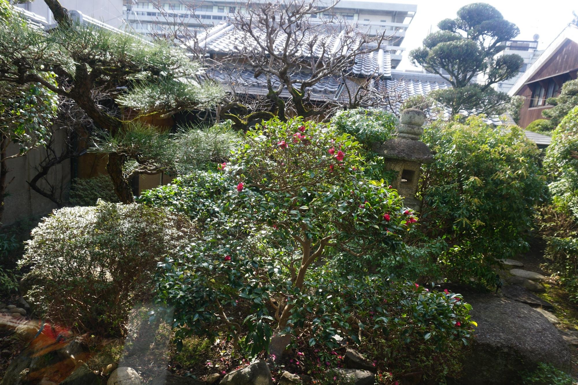 Guesthouse Nara Backpackers by null