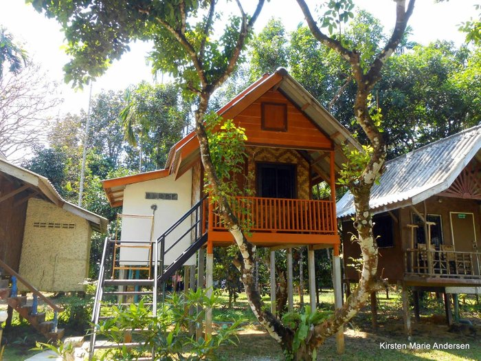 OUR JUNGLE HOUSE (KHAO SOK NATIONAL PARK, TAILÂNDIA): 1.480 fotos,  comparação de preços e avaliações - Tripadvisor