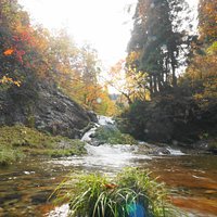 紅葉を眺める最高のポイント、まさに心が洗われます