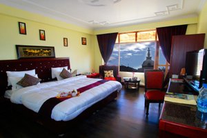 Room & Suite