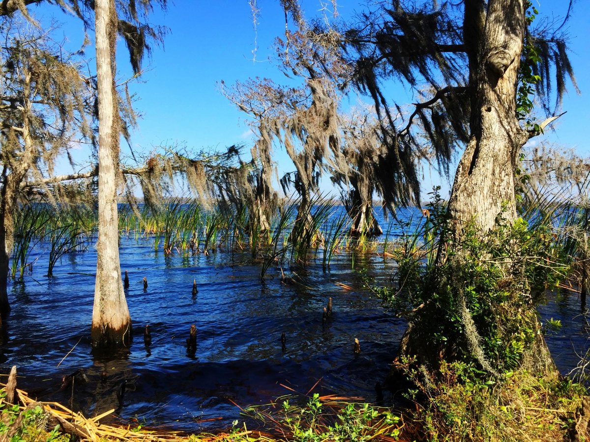 The Disney Wilderness Preserve, Киссимми: лучшие советы перед посещением -  Tripadvisor