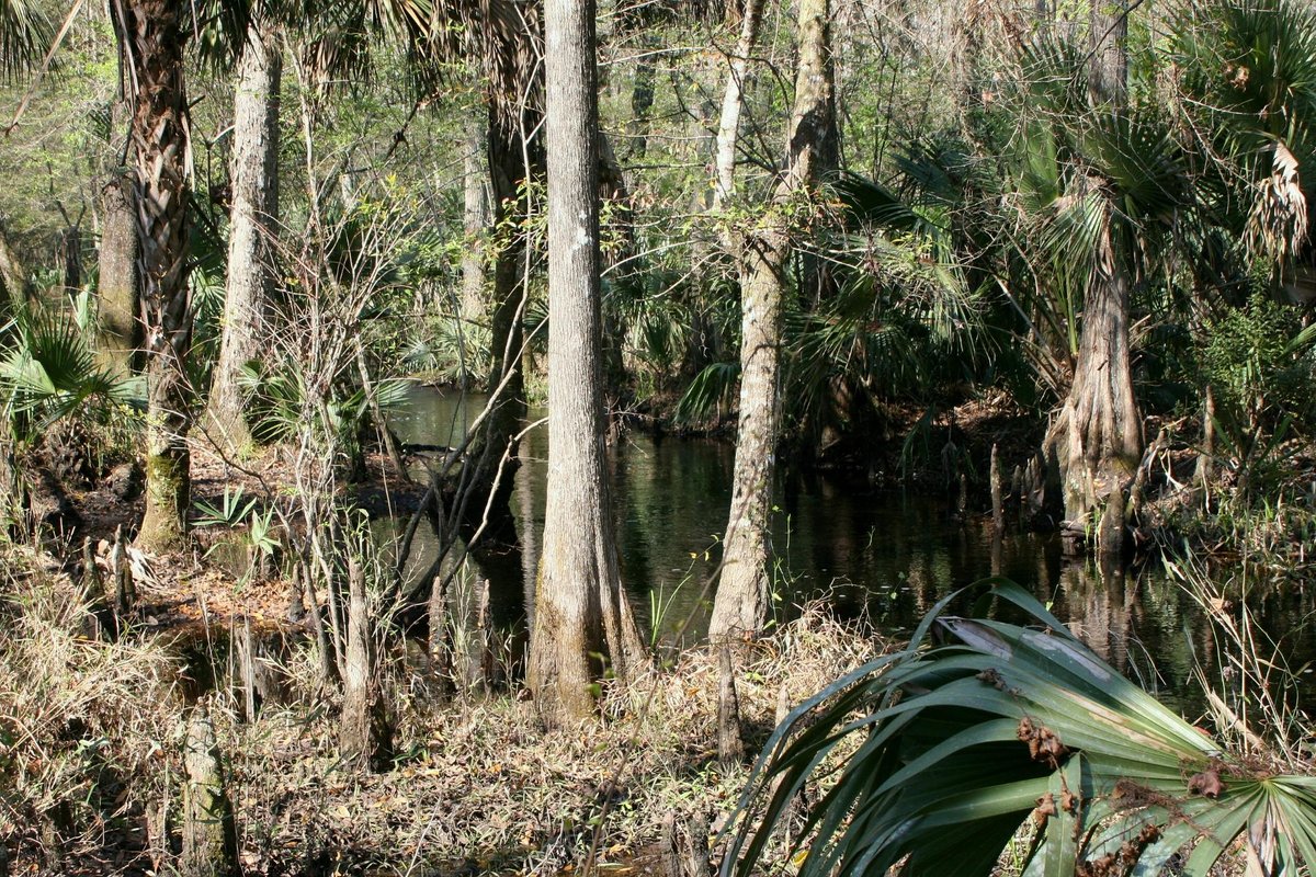 Rice Creek Conservation Area Palatka Rice Creek Conservation Area