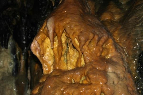 Imagen 5 de Cueva de los Enebralejos