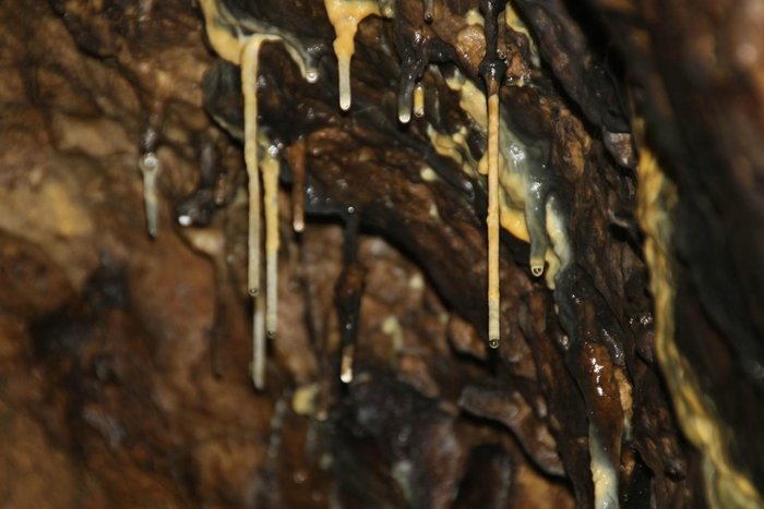 Imagen 3 de Cueva de los Enebralejos