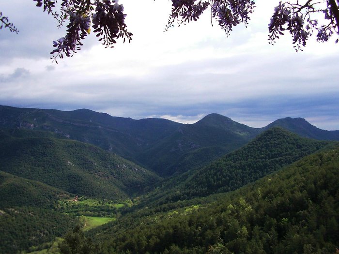 Imagen 17 de Can Coll de Pincaró