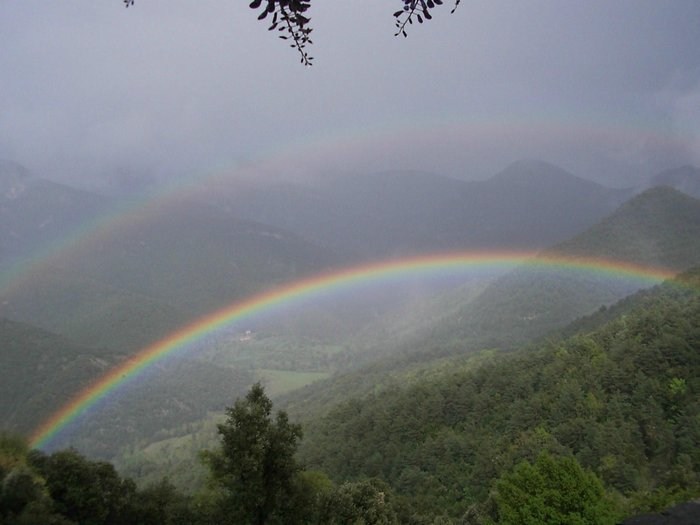 Imagen 16 de Can Coll de Pincaró