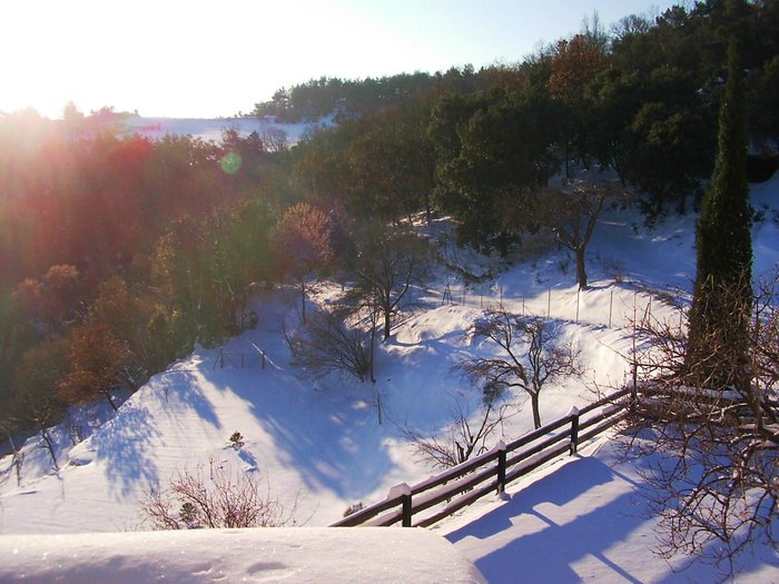 Imagen 13 de Can Coll de Pincaró