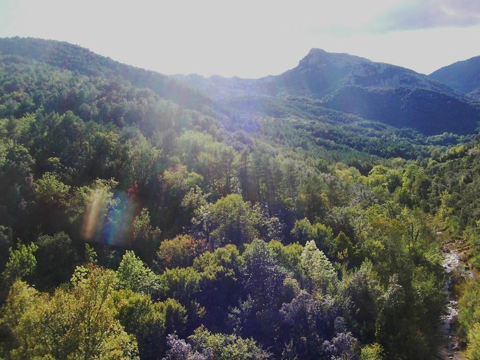 Imagen 8 de Can Coll de Pincaró