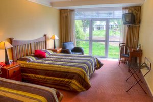 Room & Suite