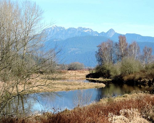 THE 15 BEST Things to Do in Port Coquitlam - 2024 (with Photos) -  Tripadvisor