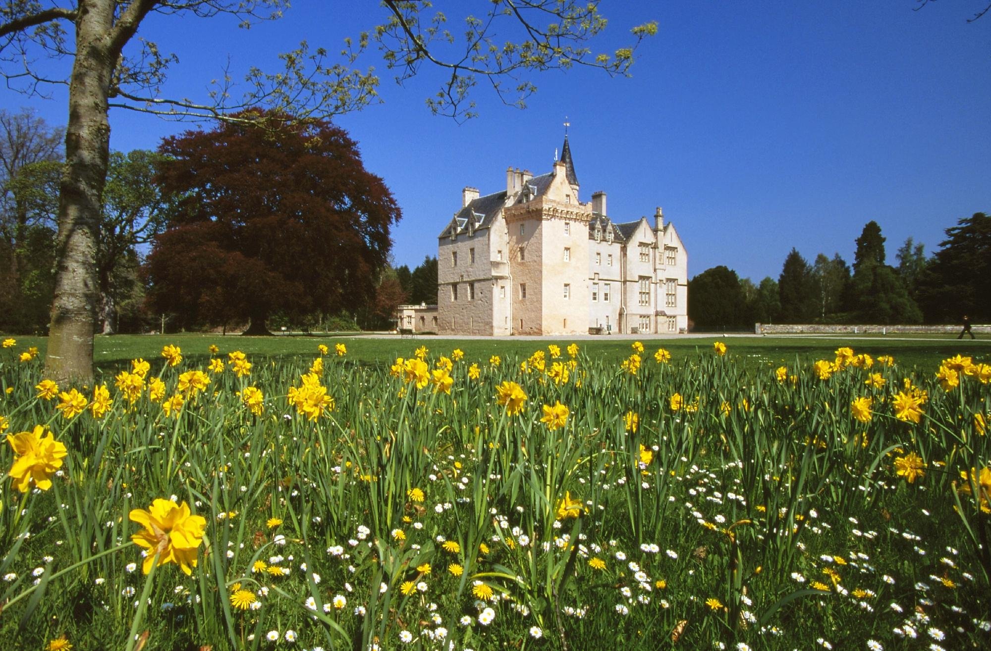 BRODIE CASTLE Forres Ce qu il faut savoir pour votre visite