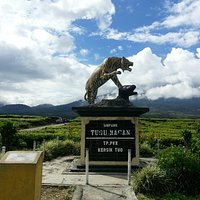 Kerinci NP