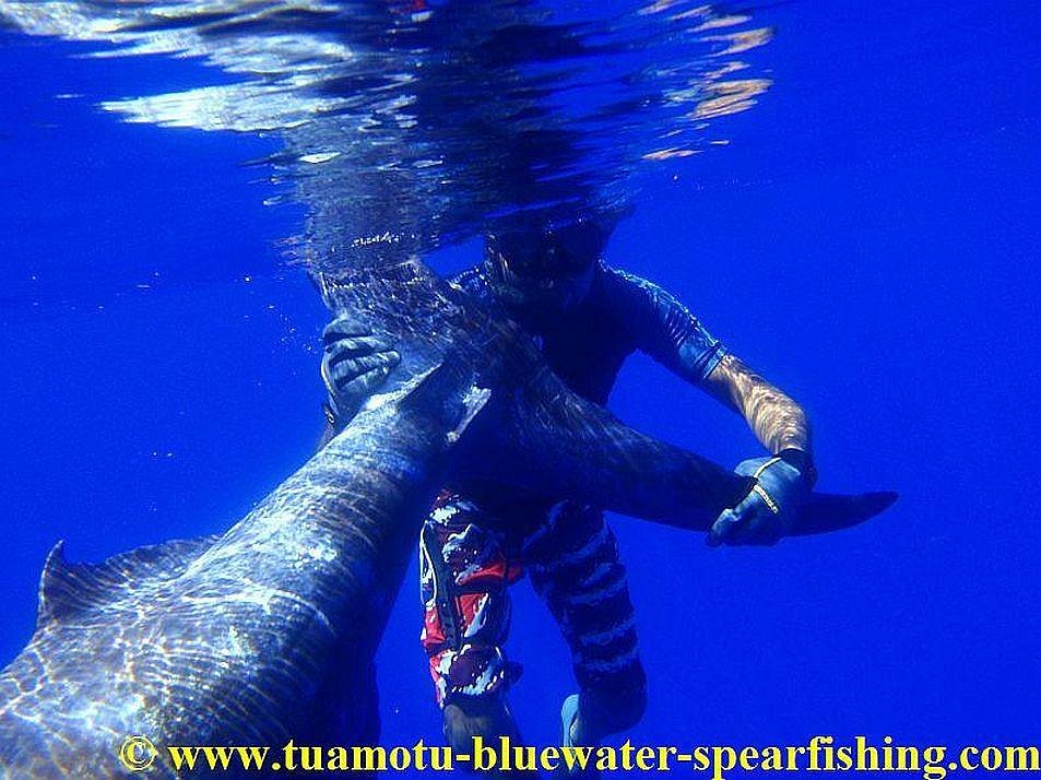 Secta 3atm bluewater float – Secta Spearfishing