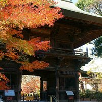 浄真寺 山門