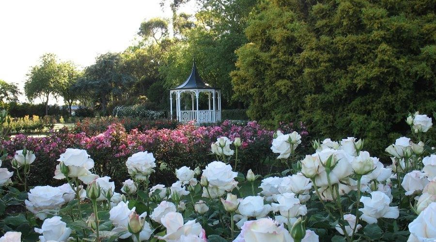 Dugald MacKenzie Rose Gardens