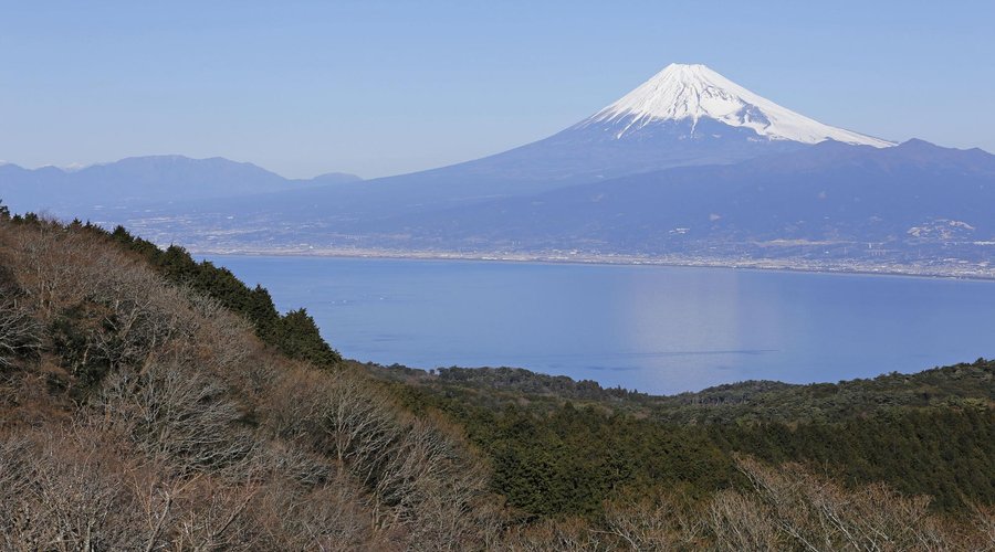 達磨山３